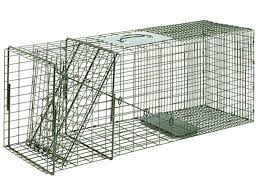Duke Standard Cage Traps