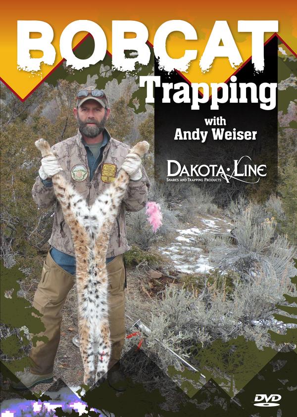 Bobcat Trapping with Andy Weiser