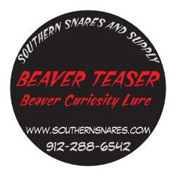 Beaver Teaser Curiosity Lure