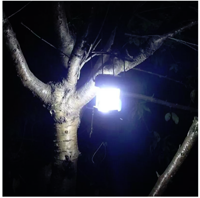 Duel Powered Survival/Camping Lantern – Southern Snares & Supply
