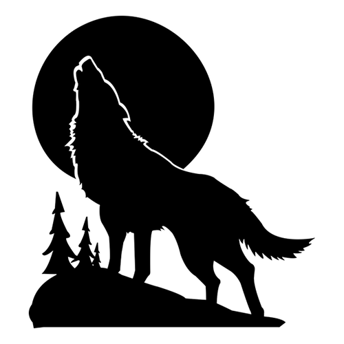 COYOTE DECAL